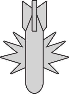 1010 Raivaajapioneeri