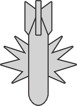 1010 Raivaajapioneeri