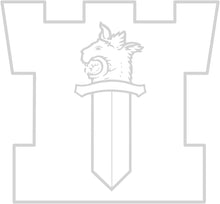 1310 Tornipoliisi