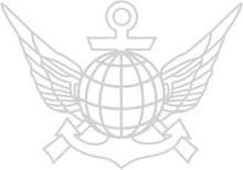 301 erikoismuonnosjoukkue