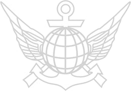 301 erikoismuonnosjoukkue