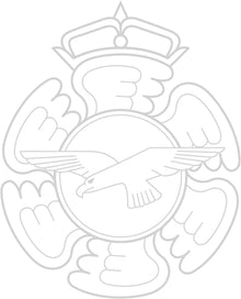 390 Ilmavoimat