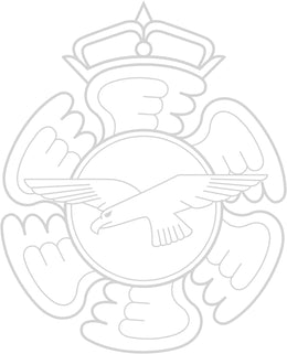 390 Ilmavoimat